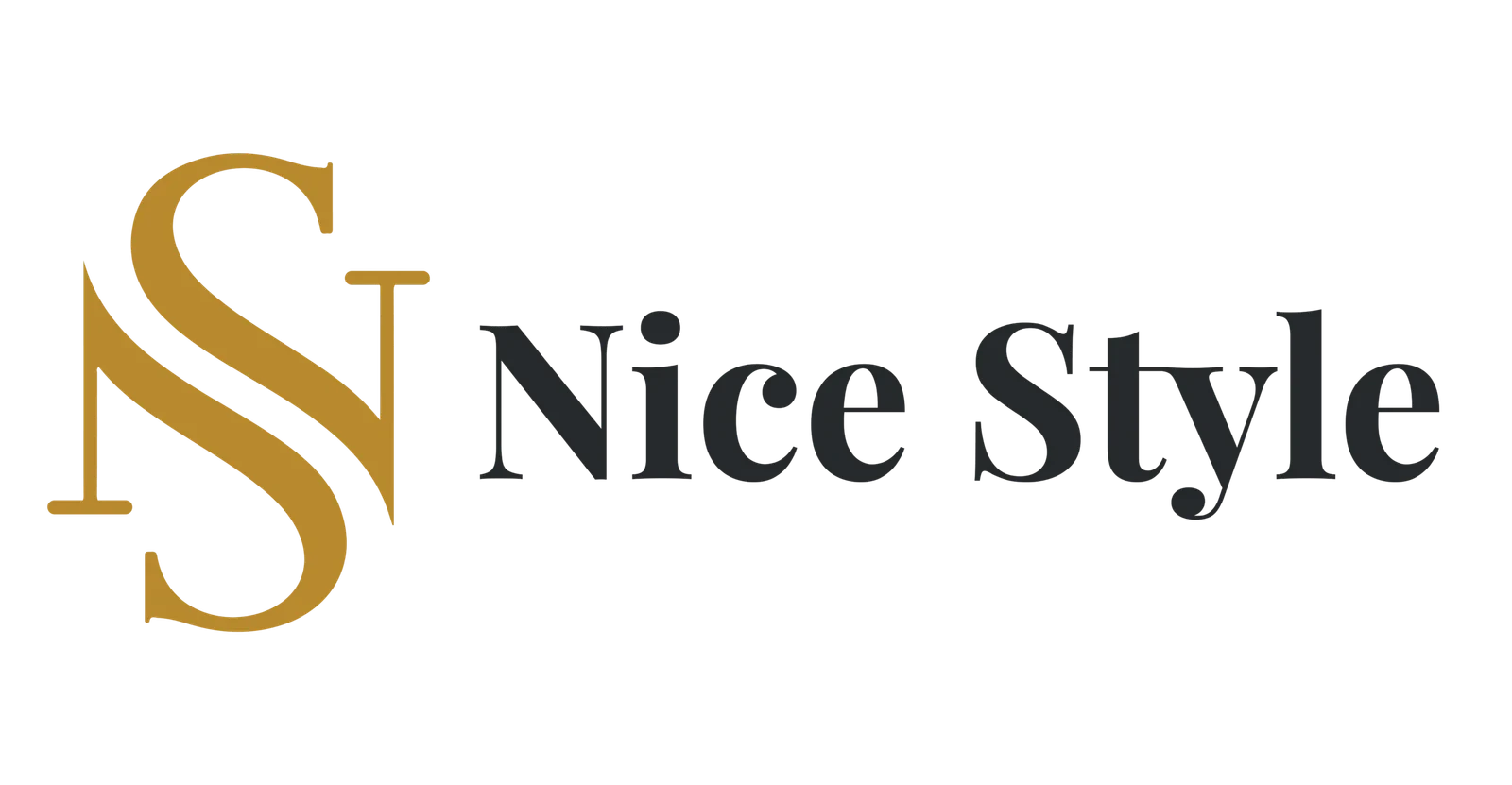 شعار موقع NiceStyle